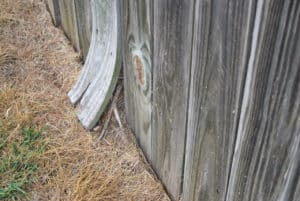 Benefits Of Staining Your Fence