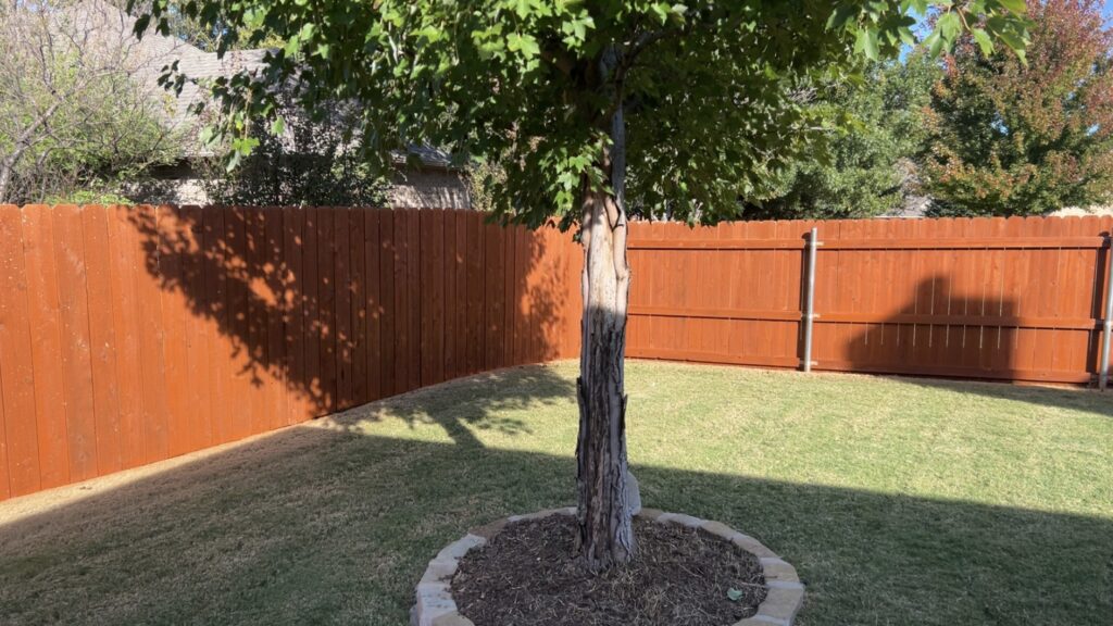 Fence staining services in Edmond Oklahoma